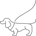 A line drawing of a dachshund on a black background. | Margaret River Vet.