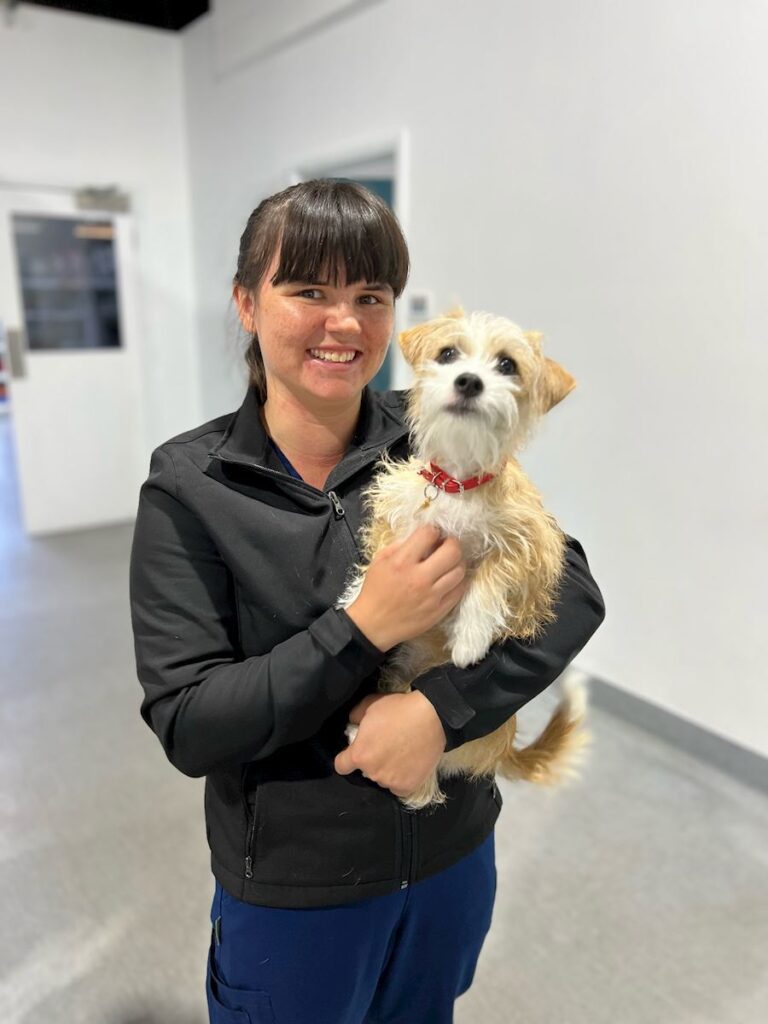 Georgia holding a small dog in at the vet hospital
